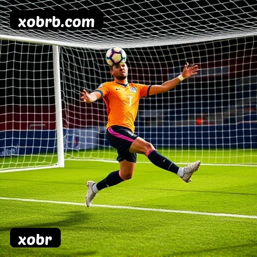 Suporte 24 horas xobr
